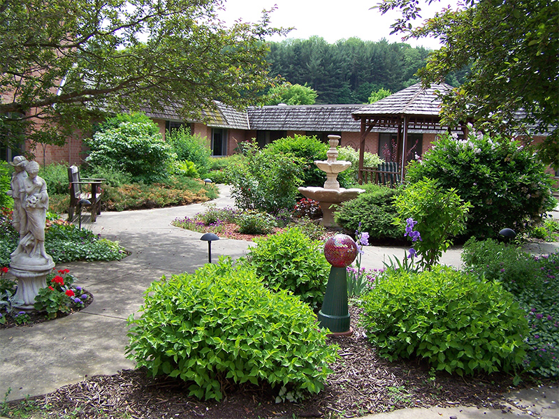 Lush outdoor area